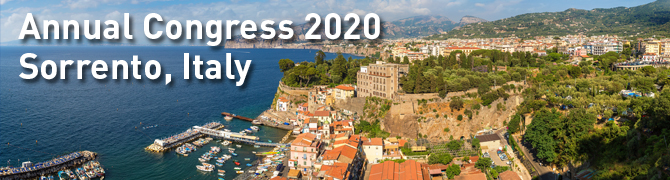 INSOL Europe Annual Congress 2020: Sorrento, Italy